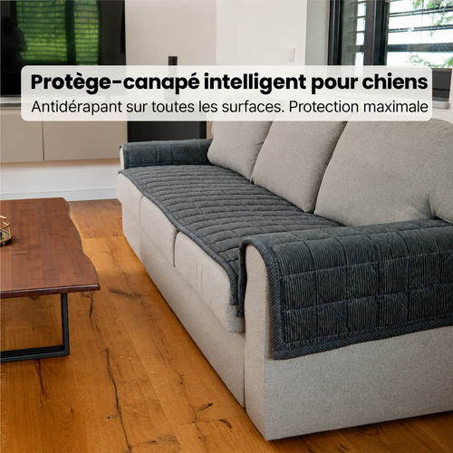 SofaGuard - Protection en Douceur
