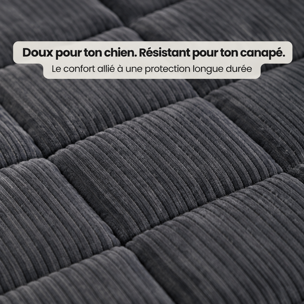 SofaGuard - Protection en Douceur