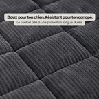 SofaGuard - Protection en Douceur