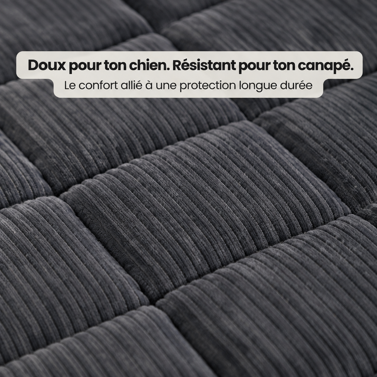 SofaGuard - Protection en Douceur