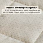 SofaGuard - Protection en Douceur