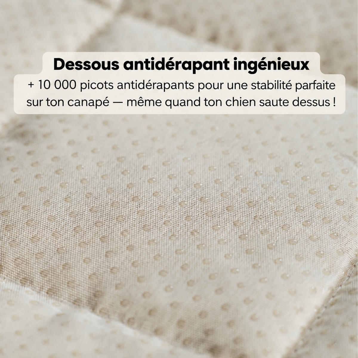 SofaGuard - Protection en Douceur