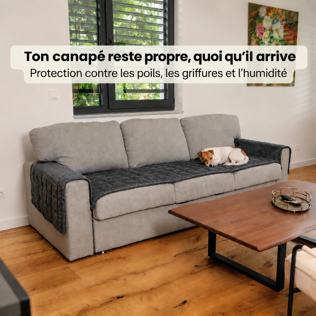 SofaGuard - Protection en Douceur